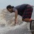Tidal Bore Indonesia www.gurindam12.co