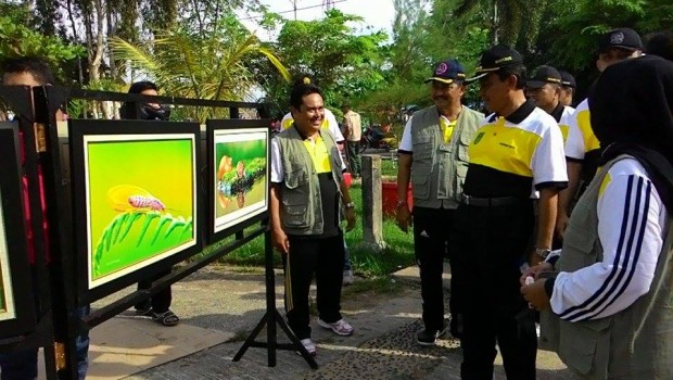 Pameran foto Macro tembilahan
